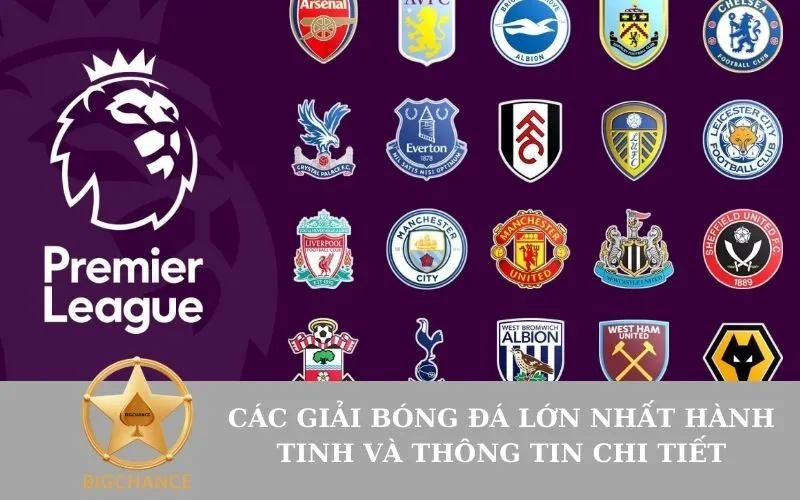 Các giải bóng đá lớn nhất hành tinh và thông tin chi tiết