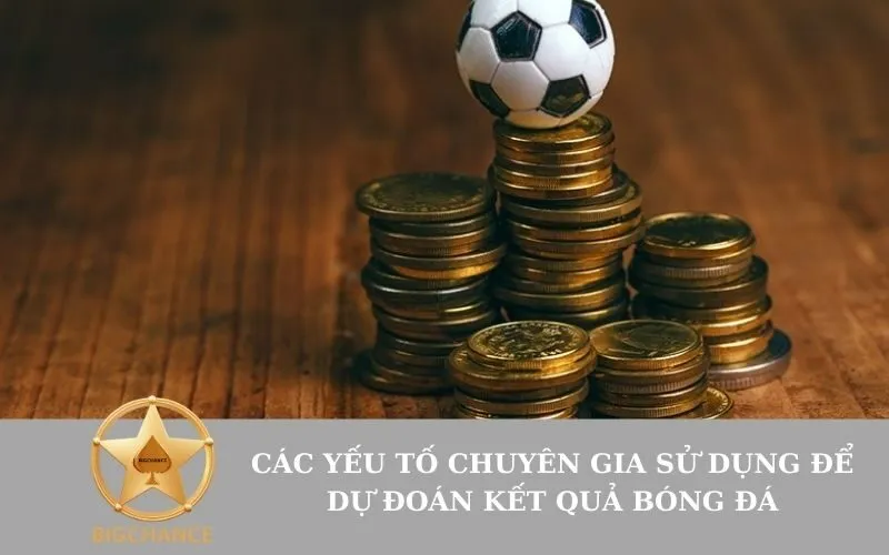 Các yếu tố chuyên gia sử dụng để dự đoán kết quả bóng đá