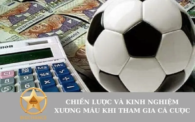 Chiến lược và kinh nghiệm xương máu khi tham gia cá cược