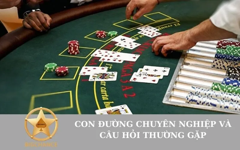 Con Đường Chuyên Nghiệp và Câu Hỏi Thường Gặp