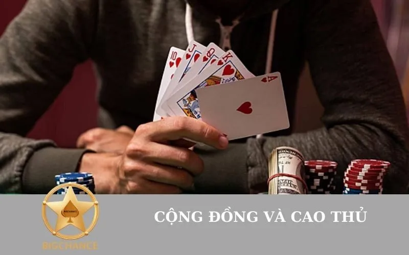 Cộng Đồng và Cao Thủ