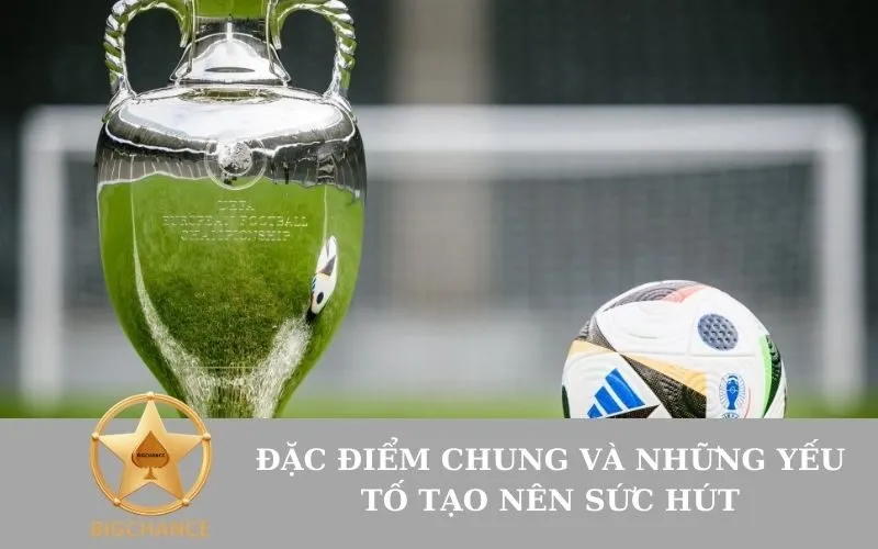 Đặc Điểm Chung và Những Yếu Tố Tạo Nên Sức Hút