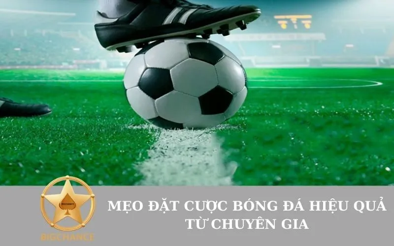 mẹo đặt cược bóng đá hiệu quả từ chuyên gia