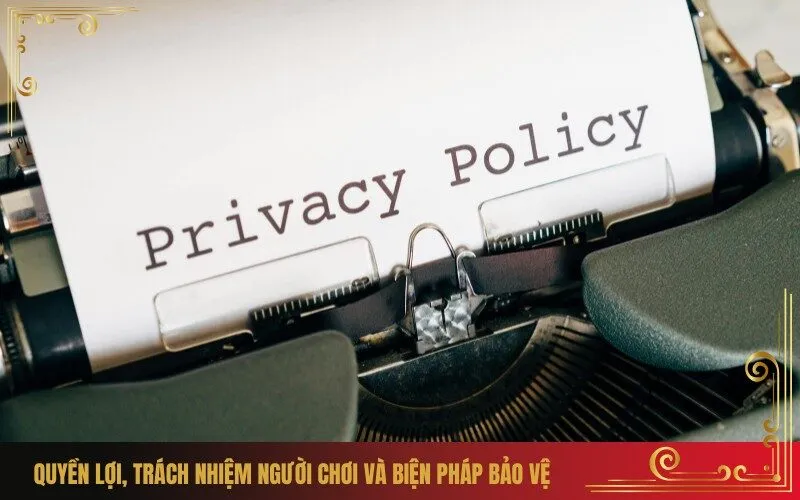 Quyền Lợi, Trách Nhiệm Người Chơi và Biện Pháp Bảo Vệ