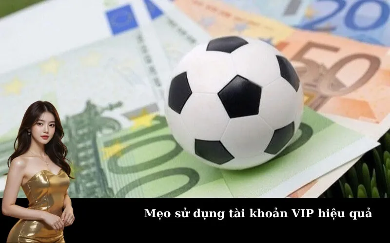 Mẹo sử dụng tài khoản VIP hiệu quả
